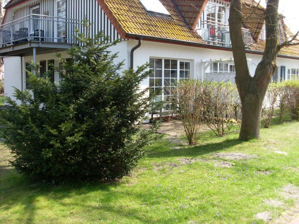 Ferienwohnung Muehlenstr. Преров Екстериор снимка